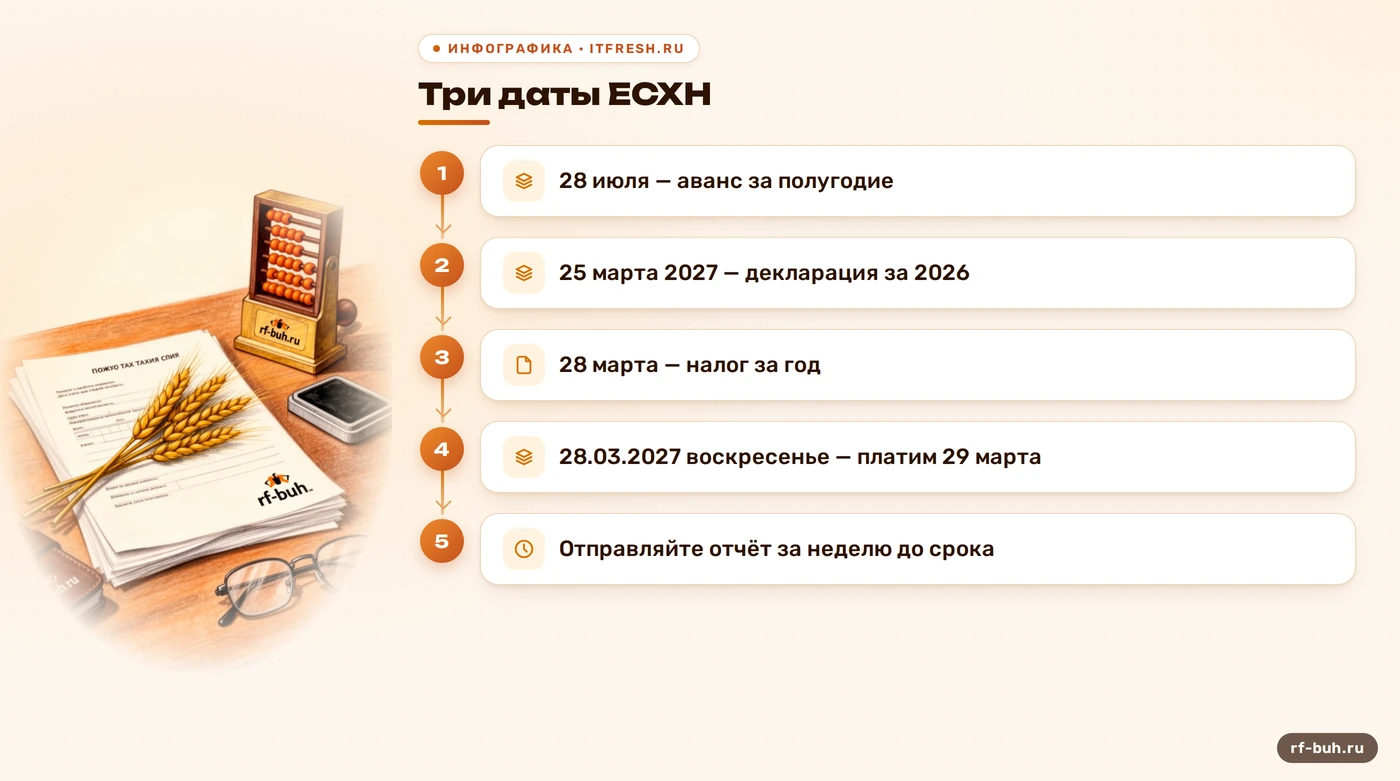 Схема сроков ЕСХН: аванс, декларация за 2026 год, налог за год